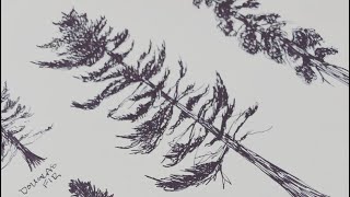 How to draw Trees  part one ‘Pine Trees ‘ [upl. by Nnylanna]