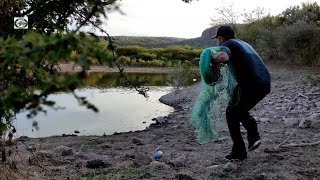 mira cuanta tilapia se mira en este islote cuando voy a tirar la tarraya en medio del lago [upl. by Alderson]