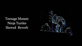 Teenage Mutant Ninja Turtles 1 hour [upl. by Letnohs]