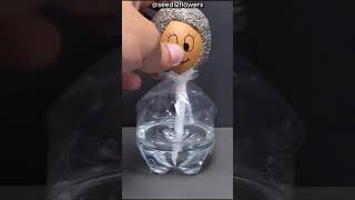 This Person Made an Amazing Invention Using an Egg 🥚 [upl. by Shore]