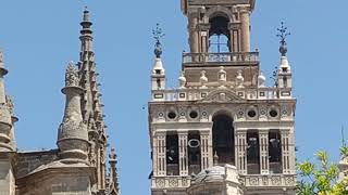 Volteo de vísperas del Corpus en la Giralda [upl. by Sears611]