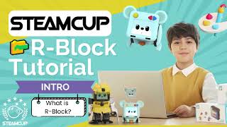 Introduction to R BLOCK  How to Use R BLOCK E1 [upl. by Amalburga444]