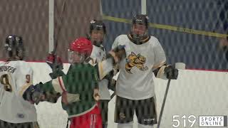 Under 18 Hockey  Lambton Jr Sting vs Kitchener Jr Rangers [upl. by Jankey355]