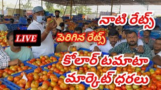 10092024 kolar tomato market ratetoday Kolar tomato market price kolartomatomarkettomato [upl. by Hallett]