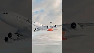 What Will Happen If A Bird Stucks In An Airplane Engine [upl. by Budworth522]