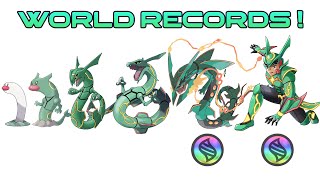 All 1008 Pokémon Mega Evolution TCG  Drawing WORLD RECORDS 2023  Max S [upl. by Ridglea]