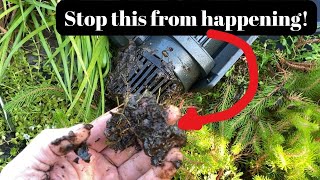 How do you stop a pond pump from getting clogged [upl. by Cowen]