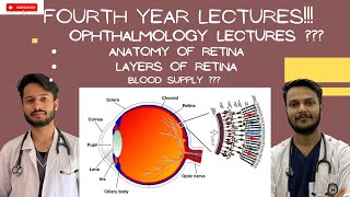 RETINA ANATOMY OPHTHALMOLOGY LECTURES [upl. by Salkin]