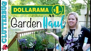 Dollarama Garden Haul  Canadian Dollar Store [upl. by Garrek]