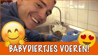 Superschattige babydieren  DierenpraatTV [upl. by Oiramel]