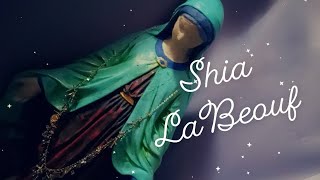 Shia LaBeouf  Song [upl. by Alegnat185]