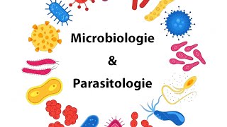 Parasitologie  Cours microbiologie parasitologie  IFCSISPITS [upl. by Attolrahc]