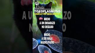 TOXOPLASMOSIS [upl. by Gresham]