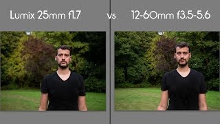 Panasonic Lumix G 25mm f17 vs 1260mm f35 56 at 25mm [upl. by Issor]