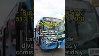 Cómo llegar a la Feria Xmatkuil 2024 Rutas y horarios [upl. by Sinnard444]