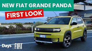 New Fiat Grande Panda  First Look [upl. by Paryavi499]