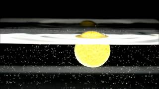 Compressed sponge  demonstration video [upl. by Desma]