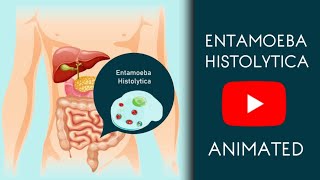 Entamoeba Histolytica in Easy Animated  Microbiology [upl. by Godding]