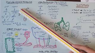 TOUS SAVOIRE SUR LHYPER PHOSPHOREMIE4 pseudohyperparathyroïdie 2eme etiologie [upl. by Hujsak]