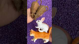 Mouse cat rabbit animals [upl. by Monreal]