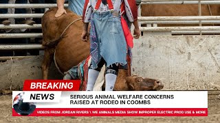 Animal welfare concerns raised at Coombs rodeo [upl. by Kotto]