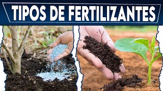 🔴 Tipos de FERTILIZANTES Para la Agricultura ✅ Crea tu Negocio Rentable  Abonos Para tus Cultivos [upl. by Christensen]