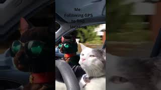 Reroute🚏gps soundeffects automobile memes [upl. by Denis]