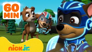 PAW Patrol Mighty Pups Ultimate Animal Rescues w Chase amp Liberty  1 Hour Compilation  Nick Jr [upl. by Cl]