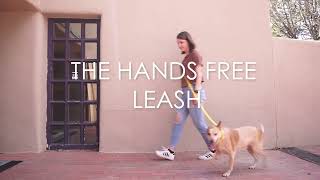 Hands Free Dog Leash Demonstration  How to Use [upl. by Veronica437]