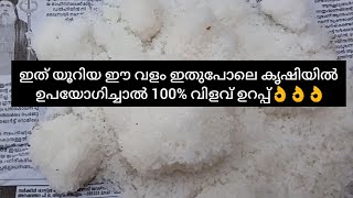 ഇത് യൂറിയ ഈ വളം ഇതുപോലെ പച്ചക്കറി കൃഷിയിൽ ഉപയോഗിച്ചാൽ 100 വിളവ് ഉറപ്പ് [upl. by Elocaj517]