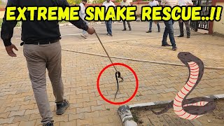 कॉलेज में चौंकाने वाली सांप की मुठभेड़ आप यकीन नहीं करेंगे  Snake Rescue  tarunnharwal [upl. by Laiceps]