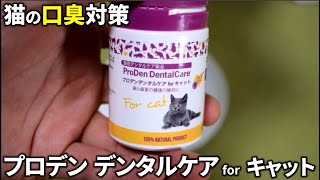 猫の口臭対策にプロデン デンタルケアforキャットを買ってみた [upl. by Dadirac]