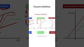 Competitiv Uncompetitive amp Noncompetitive inhibition tcml [upl. by Dilly]