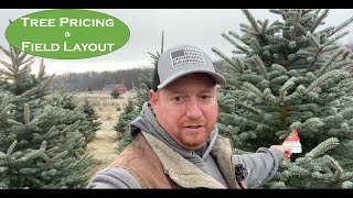 Evergreen Earnings Crafting a Successful Christmas Tree Farm Pricing and Layout Plan [upl. by Kassey]