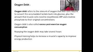 Ch 8 Muscular System Oxygen Debt and Types of Muscle Cells [upl. by Delfeena]