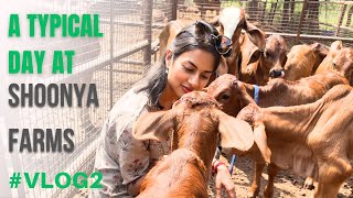 Behind the Scenes at Shoonya Farms I शून्य फार्म्स Vlog 2 I Vaishavi Sinha [upl. by Sitoeht]