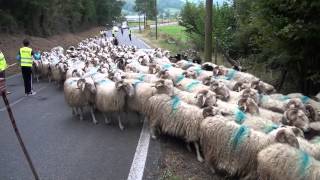 Fête de la Transhumance 12 [upl. by Sherr]