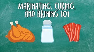 What’s the Difference between Marinating Curing amp Brining  Food 101  Well Done [upl. by Ynohtn]