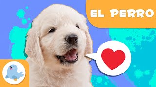 EL PERRO 🐶 Animales para niños 🏡 Episodio 15 [upl. by Allyce522]