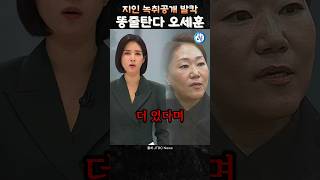 똥줄탄다 오세훈 지인녹취 공개 발칵강혜경 3300만원 더있다 [upl. by Nehtanoj]