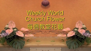 CH6 每週主日獻花系列 Church Flower Arrangement 6 [upl. by Knight147]