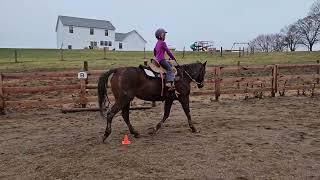 ruby offenberger class 36 12 and under Ranch Jan 29 [upl. by Collum]