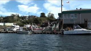 The Whale Centre Tofino [upl. by Dart]