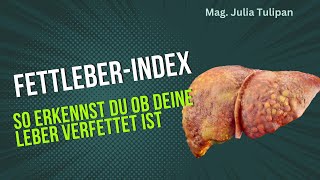 Fettleber erkennen mit dem Fettleber Index [upl. by Anitserp246]