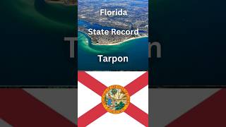 Florida State Record Tarpon [upl. by Bergen]