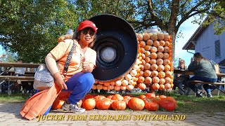 PUMPKIN FESTIVAL quotBIG CINEMAquot JUCKER FARM SWITZERLAND [upl. by Verine]