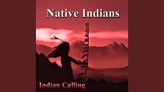 Return to Innocence Native American Music [upl. by Anawk748]