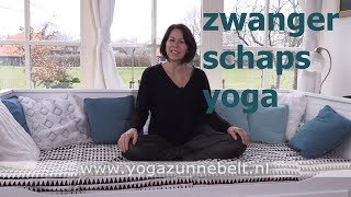 Promo  lessen zwangerschapsyoga  Yoga Zunnebelt [upl. by Yelats]