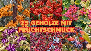 25 schöne Gehölze mit bunten Früchten und Beeren für den Herbst Vogelnährgehölze Bäume Sträucher [upl. by Namra319]