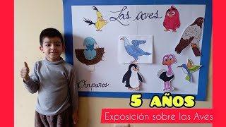 Exposición sobre las Aves  Inicial de 5 años 🐣🦅🐦 [upl. by Livvie192]